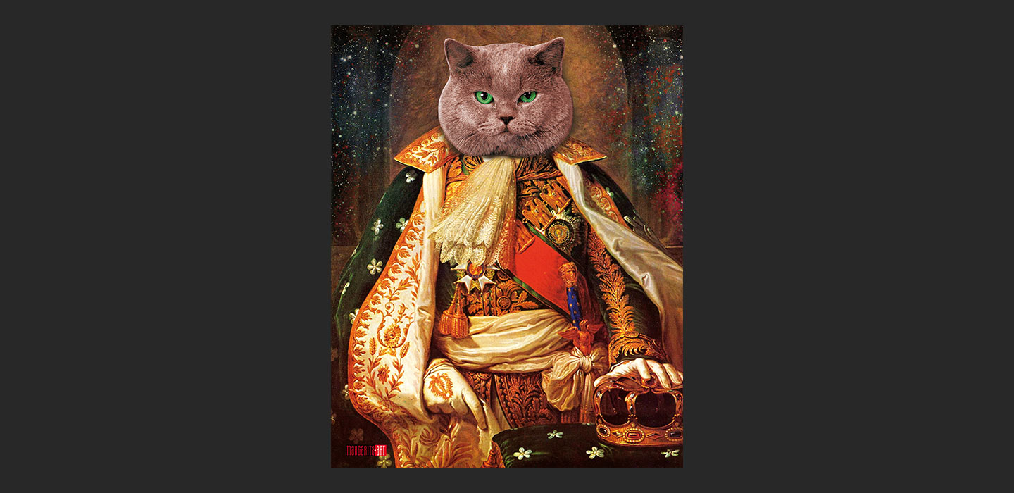 blog_catday_holycta_uk