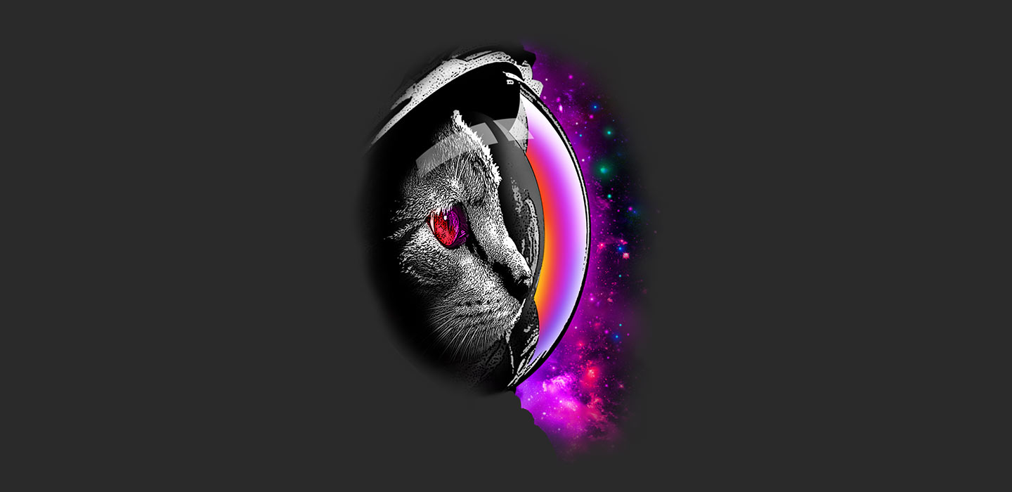 blog_catday_spacecat_uk