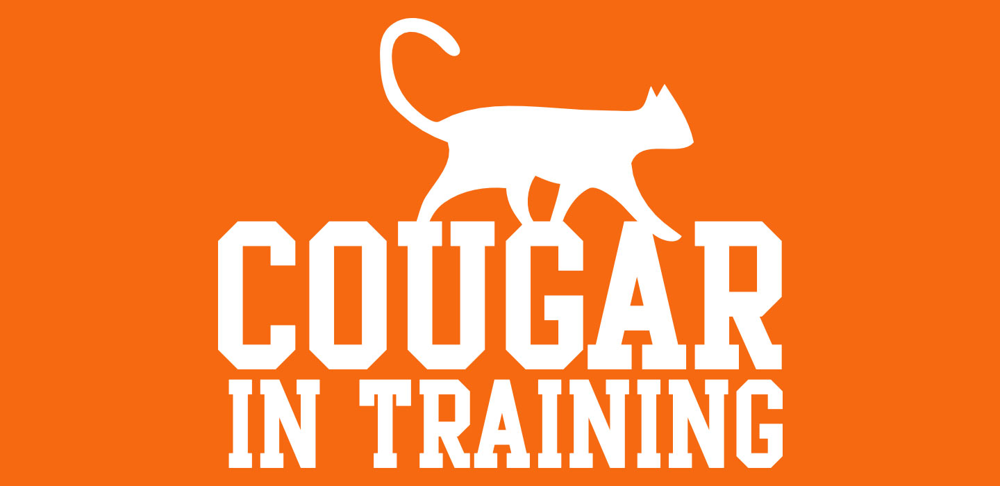 blog_catday_wildgold_uk