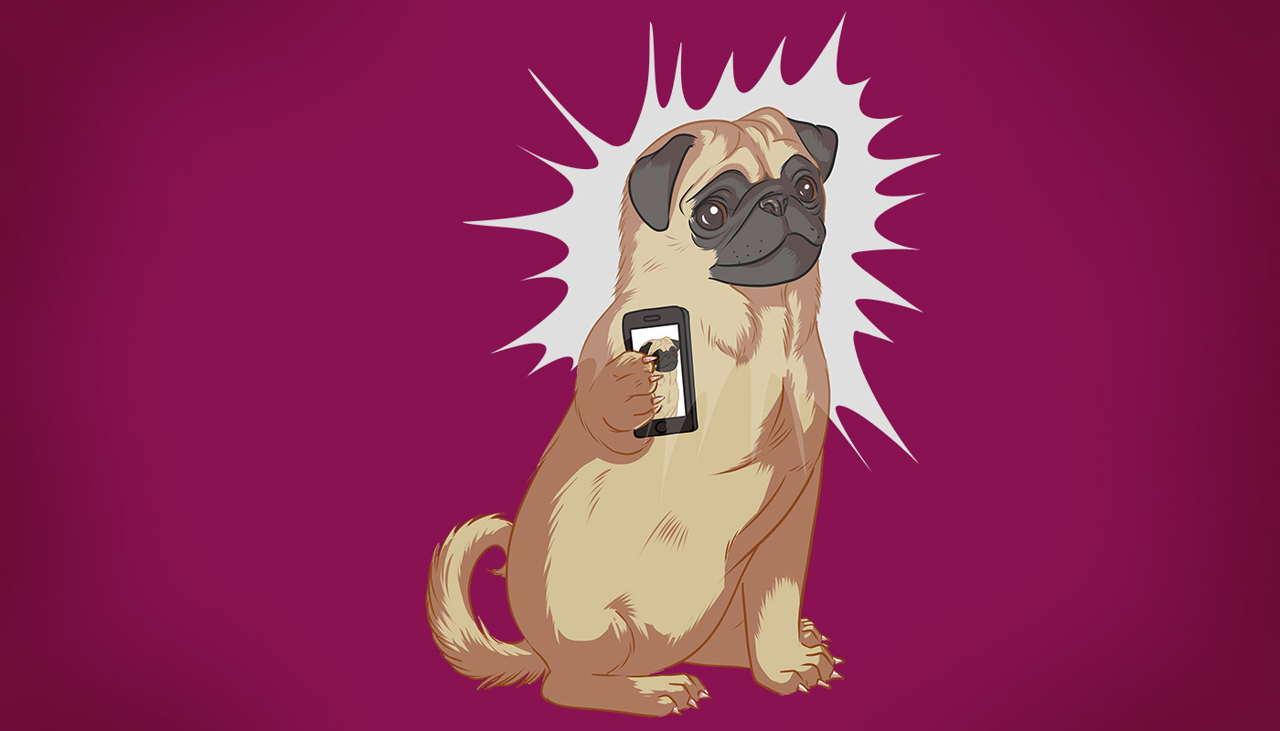 Designer of the Month – ChilliFox